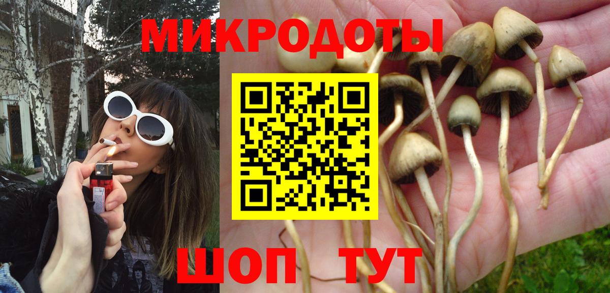 Галлюциногенные грибы Cubensis Малгобек