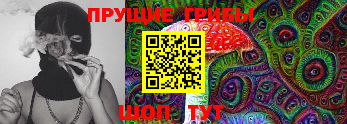 Псилоцибиновые грибы Magic Shrooms  Вход с VPN  где можно купить   Псилоцибиновые грибы Psilocybe  Малгобек 